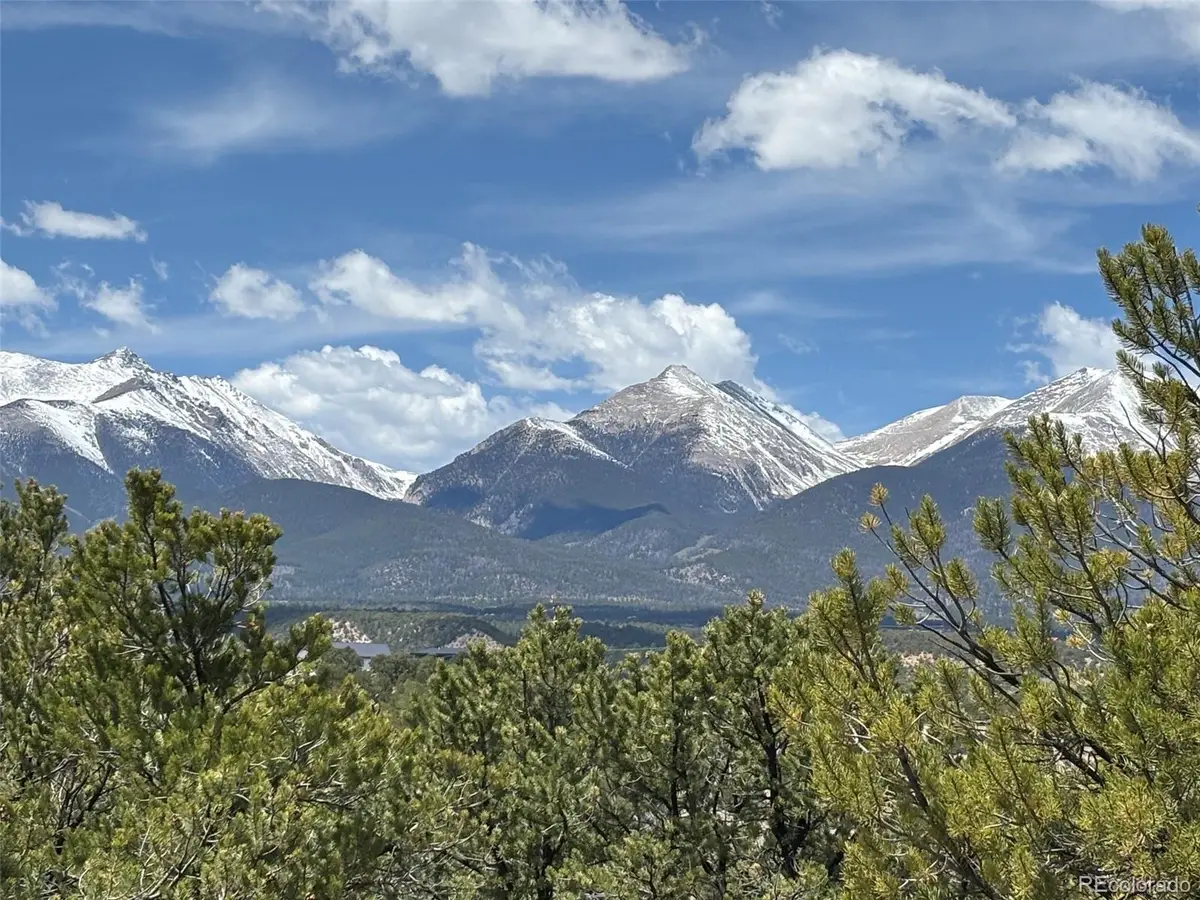 10314 Rawhide Creek Road, Nathrop, CO 81236 - #1