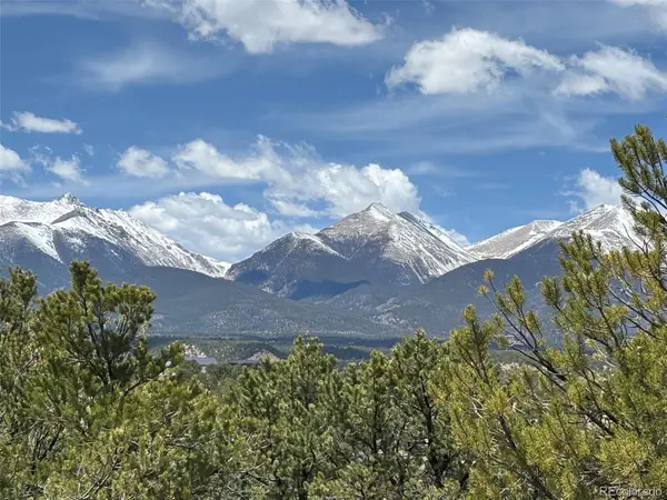 10314 Rawhide Creek Road, Nathrop, CO 81236