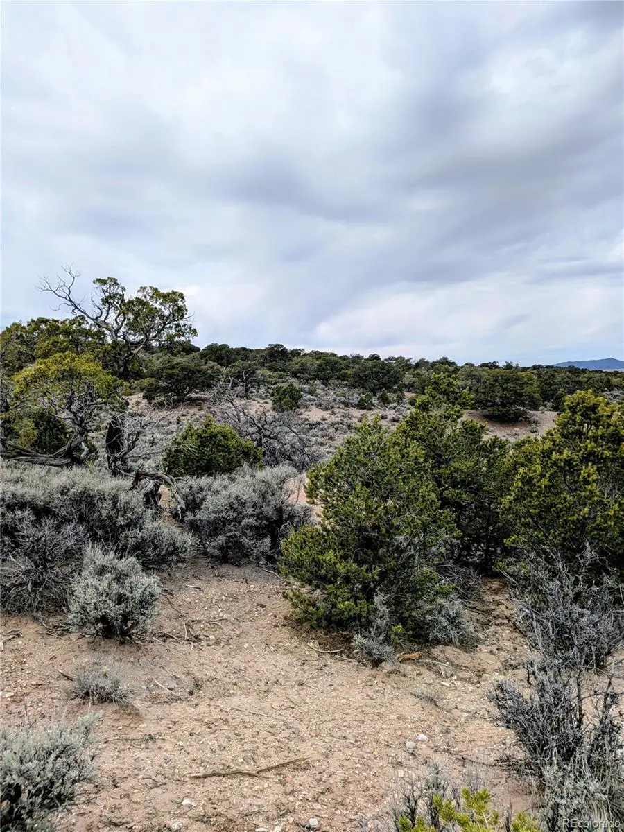 Lot 3589 Freylinghuysen Road, Fort Garland, CO 81133 - #3