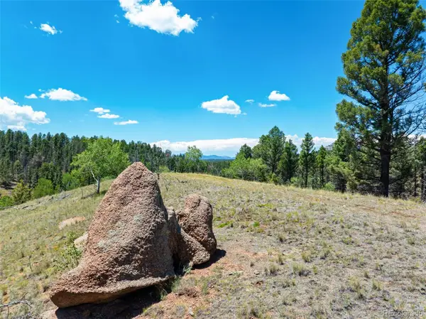 404 Morning Star Creek Trail, Florissant, CO 80816