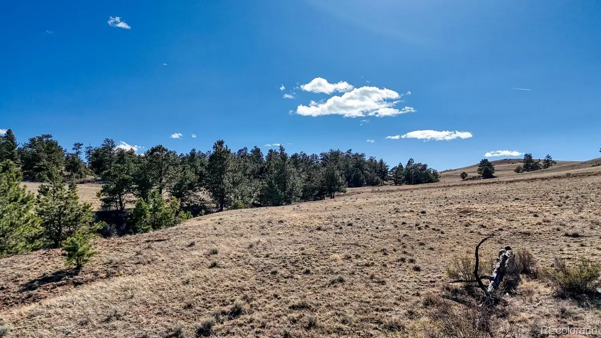 Lot 5090 & 5097 Arikara, Hartsel, CO 80449 - #1