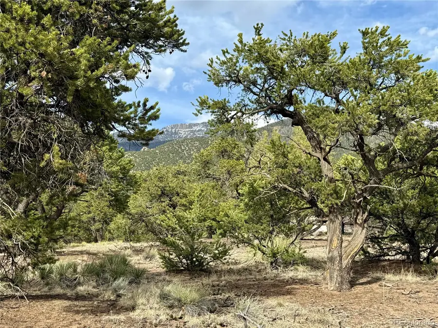 3503 N Bivouac Overlook, Crestone, CO 81131 - #3