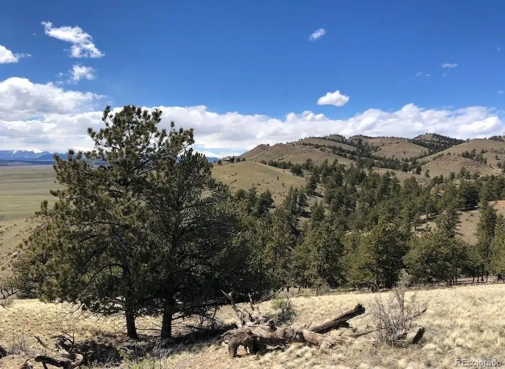 Lot 11 Willow Street, Hartsel, CO 80449 - #1