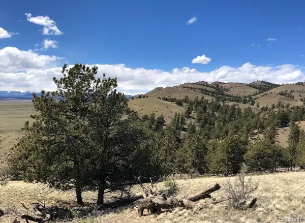 Lot 11 Willow Street, Hartsel, CO 80449