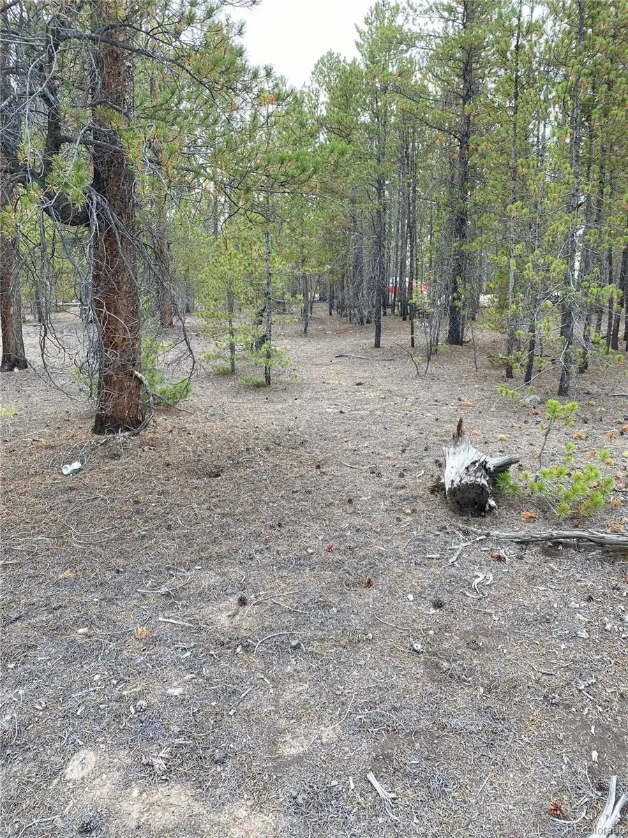 340 Peak View Drive, Twin Lakes, CO 80461 - #1