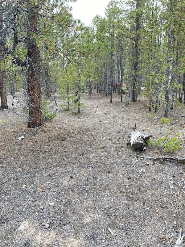 340 Peak View Drive, Twin Lakes, CO 80461