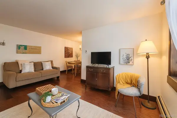 214 S Harris Street #101, Breckenridge, CO 80424