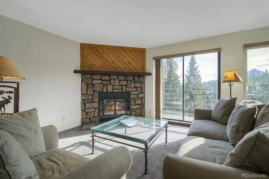 9825 Ryan Gulch Road #201, Silverthorne, CO 80498 - Image #2