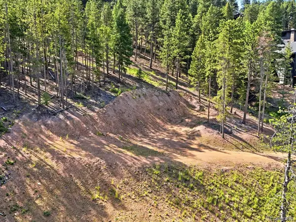 6824 Lynx Lair Road, Evergreen, CO 80439