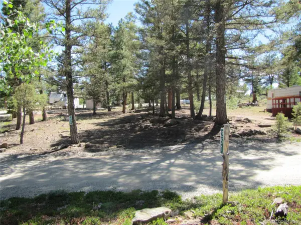 251 Pullman Loop, Hartsel, CO 80449