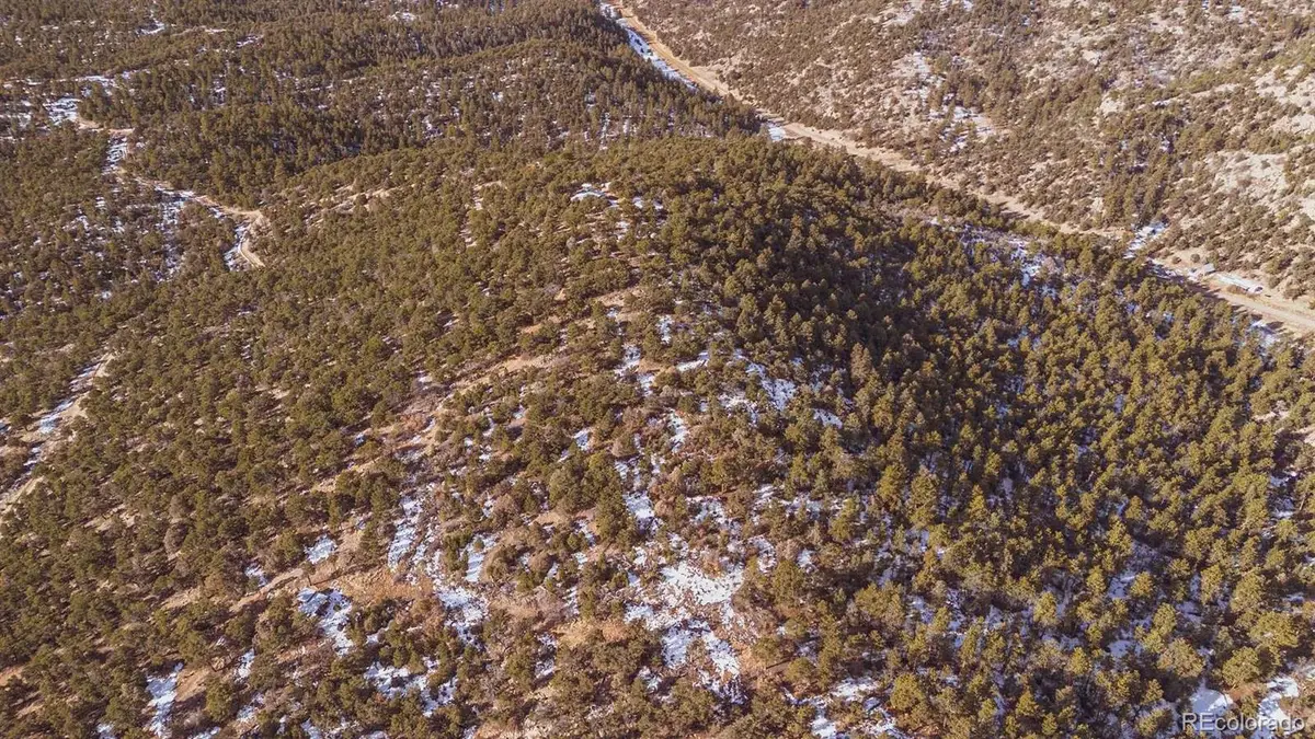 Gulch Road, Cotopaxi, CO 81223 - #1