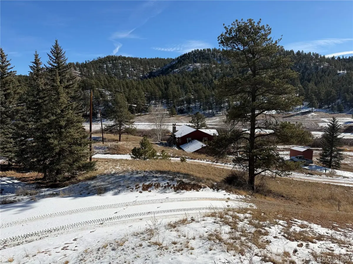 159 W Platte Road, Lake George, CO 80827 - #1