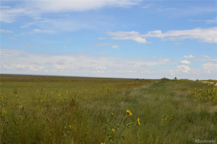 Parcel 7 County Rd V, Rush, CO 80833 - #3