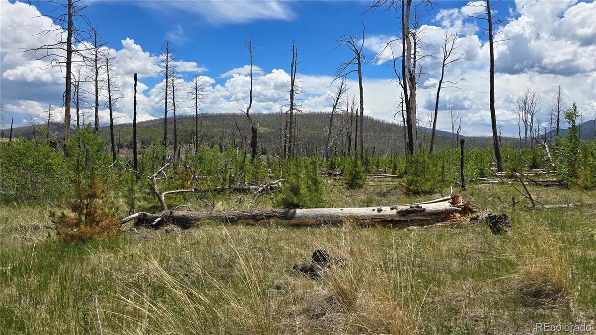 Lot 1617 Kopf Lane, Fort Garland, CO 81133 - #1