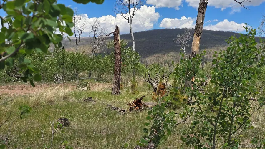 Lot 1617 Kopf Lane, Fort Garland, CO 81133 - #2