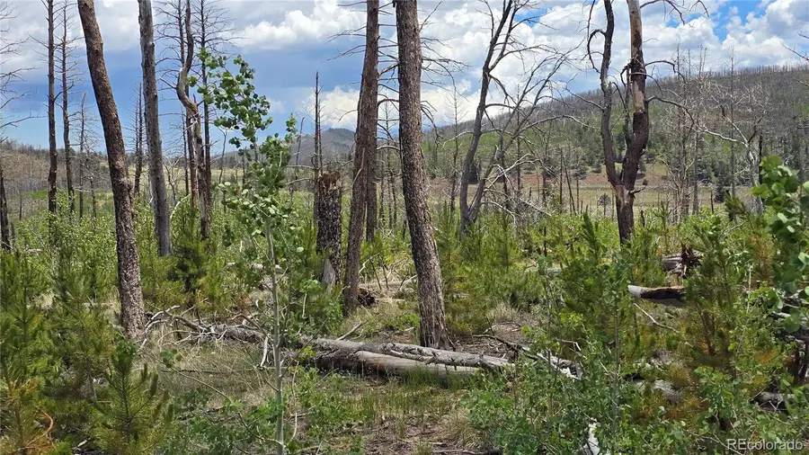 Lot 1617 Kopf Lane, Fort Garland, CO 81133 - #3