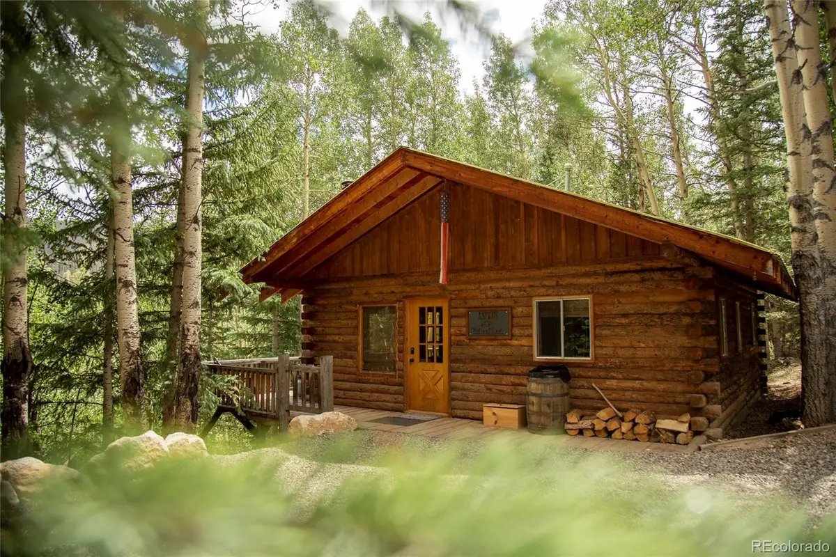 1001 Cr 17 #Aspen Cabin, Lake City, CO 81235 - #1