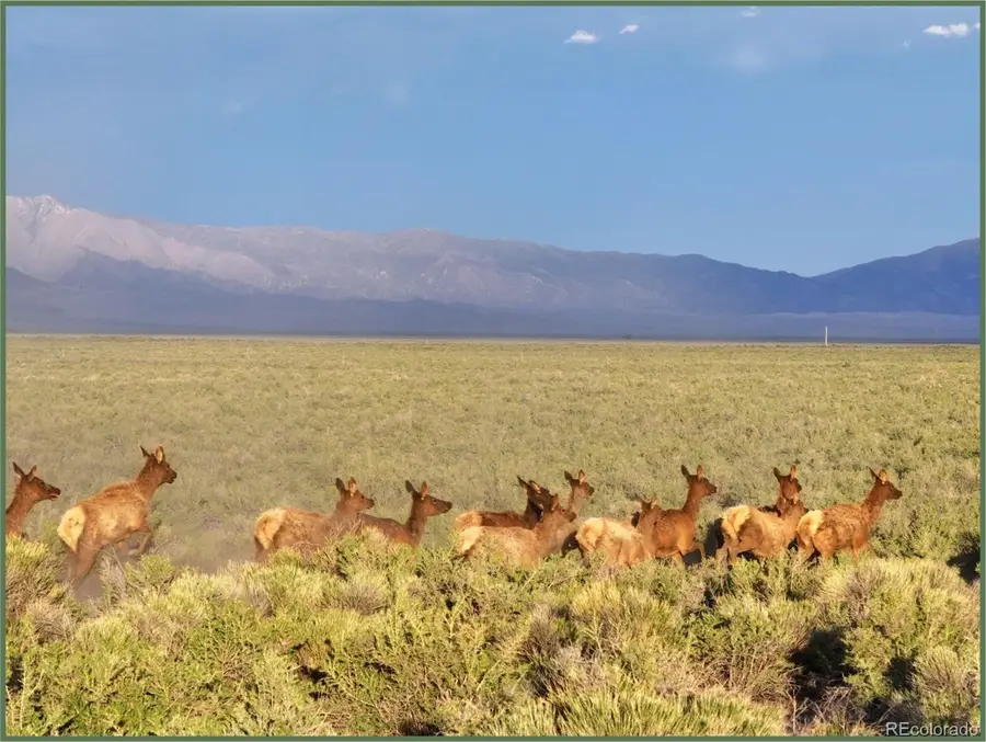 8397 Lane 2 N, Mosca Hooper, CO 81101 - Image #2