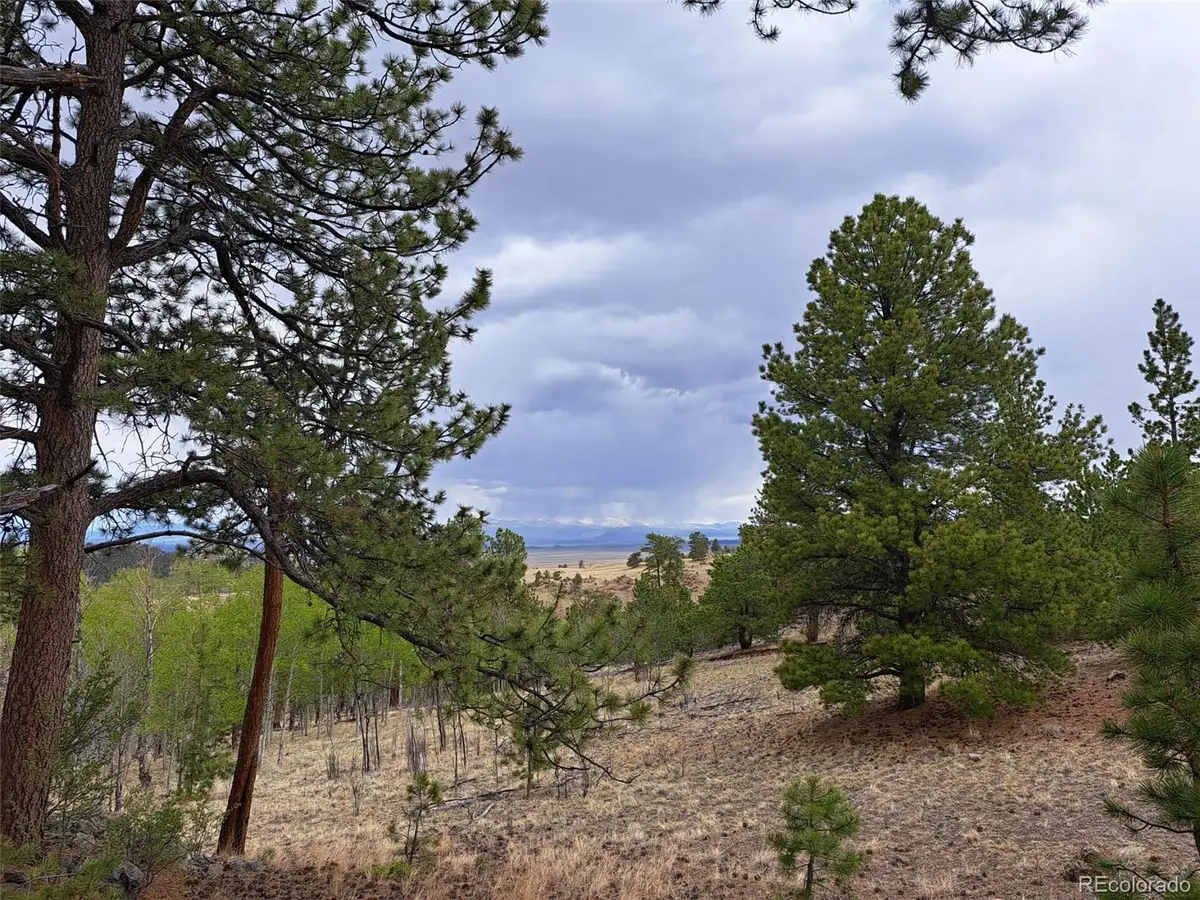 00 Dog Soldier Trail, Hartsel, CO 80449 - #1