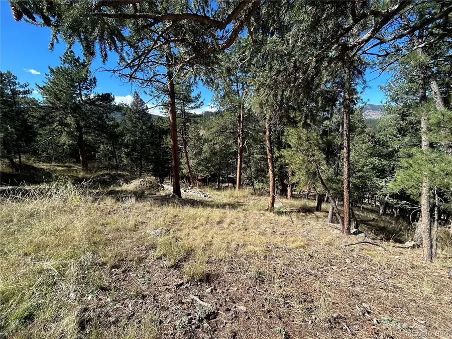 00 Pine Road, Evergreen, CO 80439 - #3