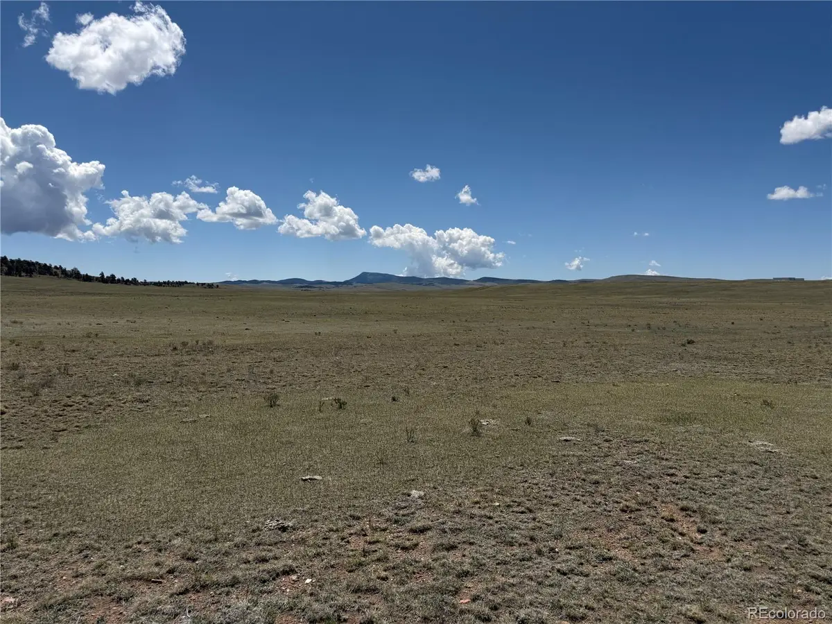 1338 Chimapavi Trail, Hartsel, CO 80449 - #1