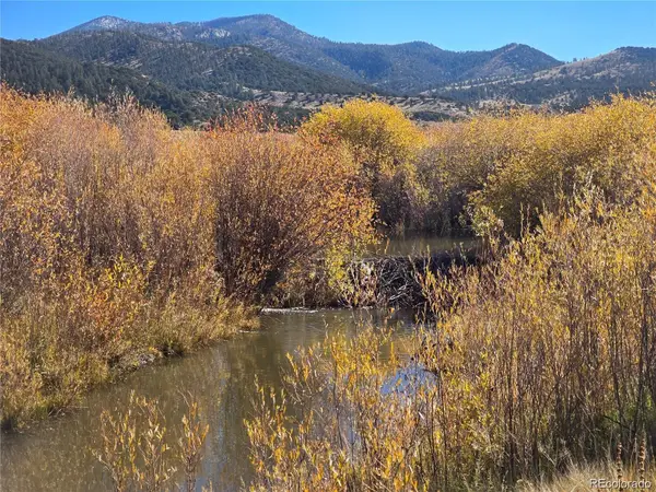 Lot 7542 Indian Creek Road, Fort Garland, CO 81133