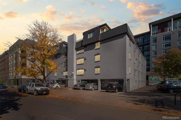 336 N Grant Street #202, Denver, CO 80203