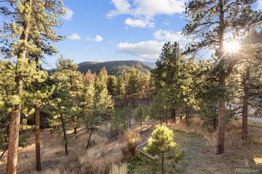 22 Driver Road, Bailey, CO 80421 - Image #2