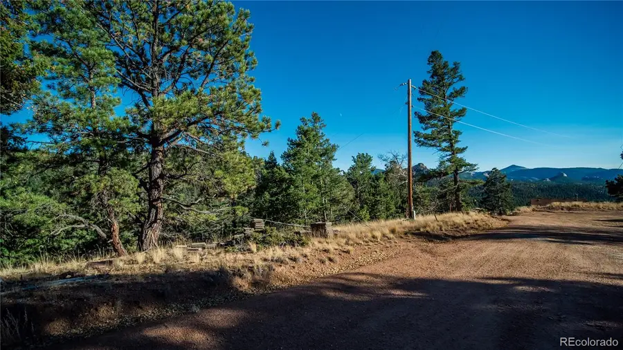 74 Quandry Circle, Florissant, CO 80816 - #2