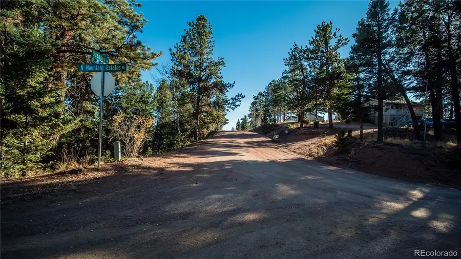 74 Quandry Circle, Florissant, CO 80816 - #3