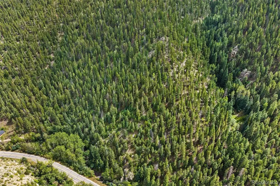 4955 Colorado 103, Idaho Springs, CO 80452 - #3