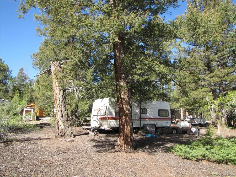 67 Tie Way, Granite, CO 80440 - #2