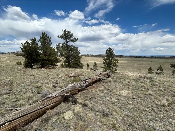 591 Singletree Court, Hartsel, CO 80449