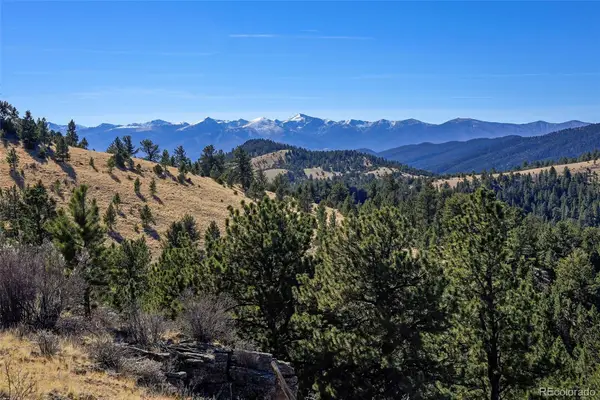 2506 County Road 16, Cotopaxi, CO 81223