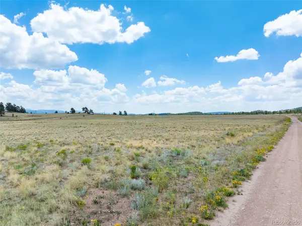 74 Wrights Lane, Guffey, CO 80820
