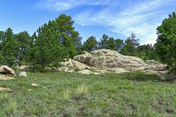 32 Peak Drive, Guffey, CO 80820