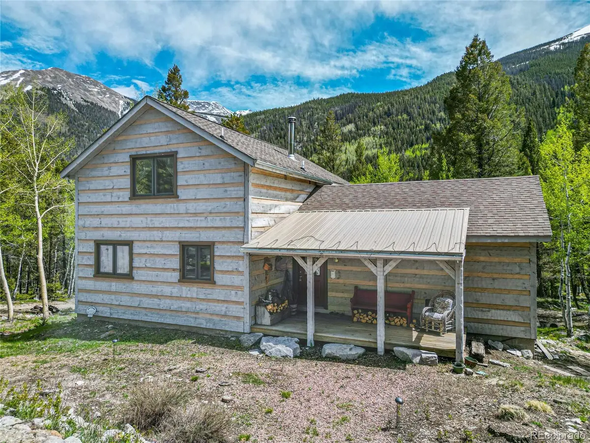 22590 County Road 292a, Nathrop, CO 81236 - #1