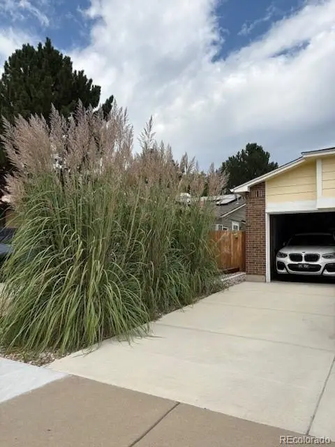 5069 W 62nd Avenue, Arvada, CO 80003 - #3