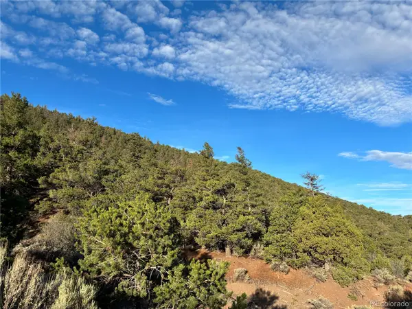 8.5 AC Adelaide Road, San Luis, CO 81152