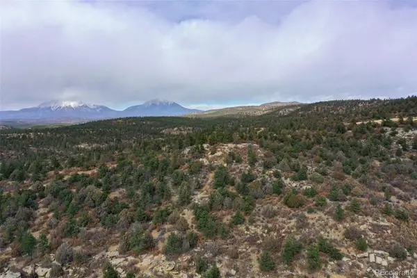 15585 Arrowhead Road, Weston, CO 81091