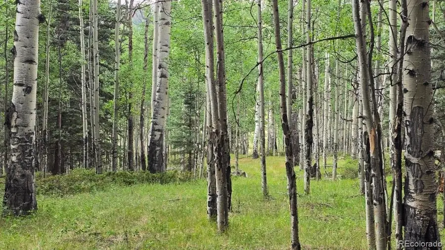 Lots 6276 & 6277 Malcolm And Shioshita Road, San Luis, CO 81152 - #2