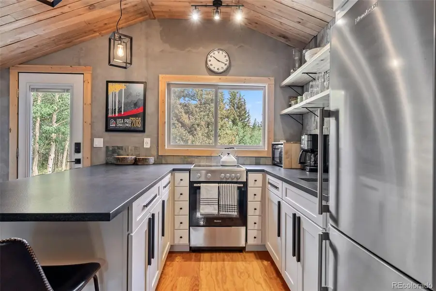932 Peterson Drive, Alma, CO 80420 - #2
