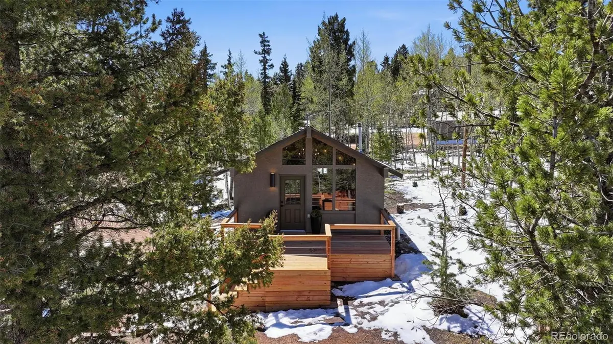 747 Trout Haven Road, Florissant, CO 80816 - #1