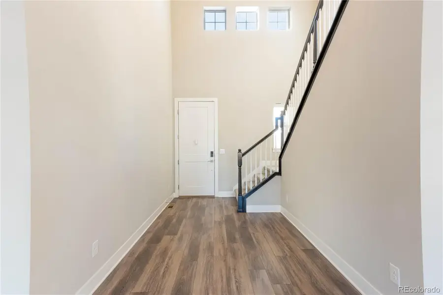 199 Simmental Loop, Castle Rock, CO 80104 - Image #3