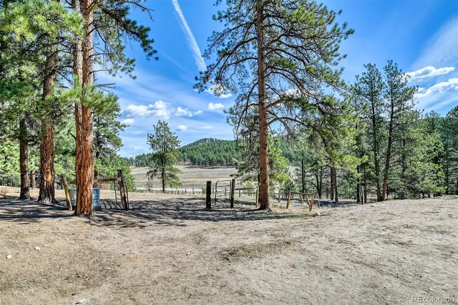 37081 County Road 77, Lake George, CO 80827 - #2