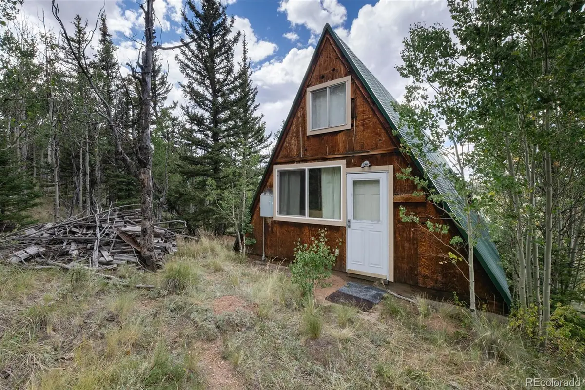 63 Welsh Cob Lane, Como, CO 80432 - #1