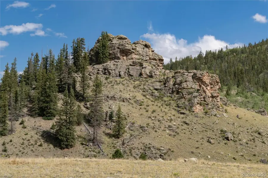 63 Welsh Cob Lane, Como, CO 80432 - #3