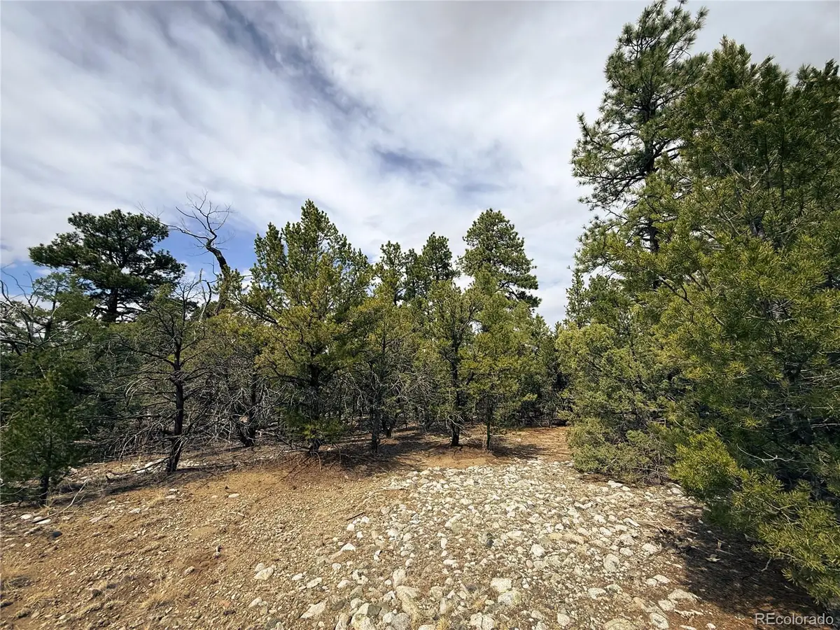 76 Mill Run Road, Mosca, CO 81146 - #1