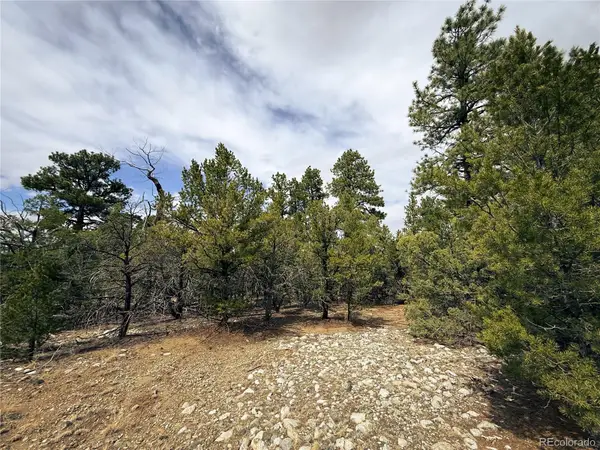 76 Mill Run Road, Mosca, CO 81146