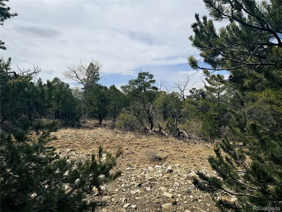 76 Mill Run Road, Mosca, CO 81146 - #2